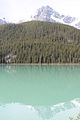 58 - Banff to Icefields - IMG_0927